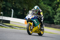 anglesey;brands-hatch;cadwell-park;croft;donington-park;enduro-digital-images;event-digital-images;eventdigitalimages;mallory;no-limits;oulton-park;peter-wileman-photography;racing-digital-images;silverstone;snetterton;trackday-digital-images;trackday-photos;vmcc-banbury-run;welsh-2-day-enduro